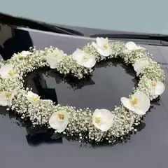 طرح گل‌آرایی ماشین عروس منحنی لیلیز