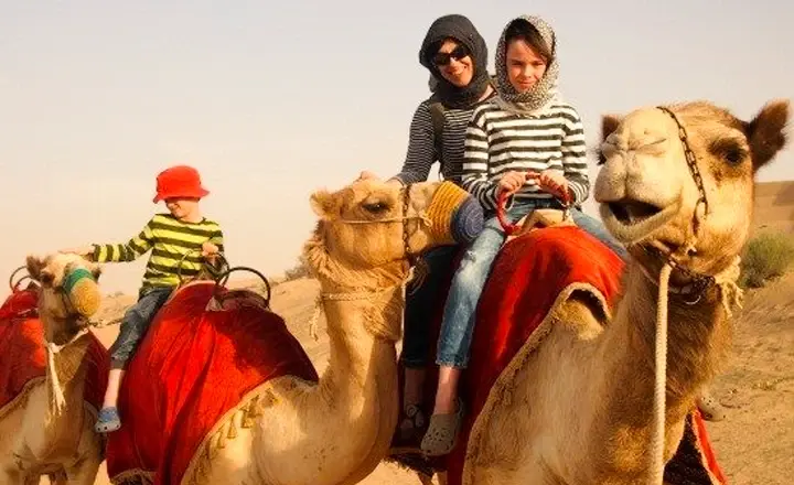 Dubai Riding Camel