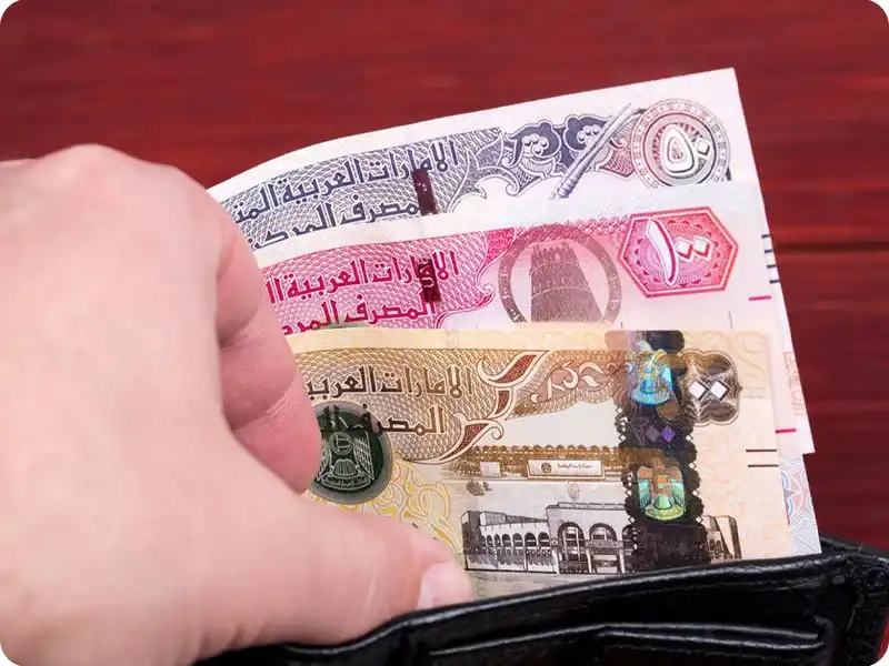 Choosing the Best Currency to Carry in Dubai trip