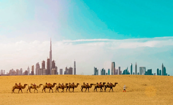 Dubai Walkability