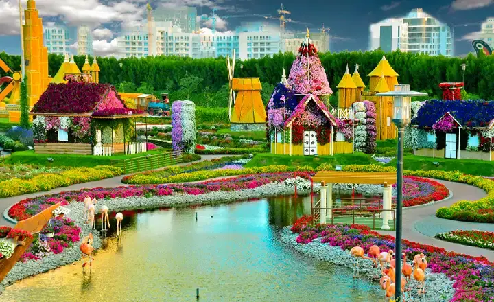 Miracle Garden