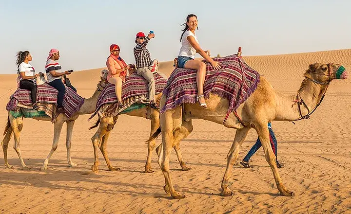 شترسواری در سافاری صحرای دبی