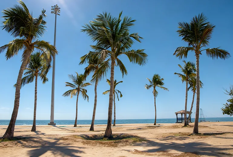 ساحل نارگیل از مکان های دیدنی کیش