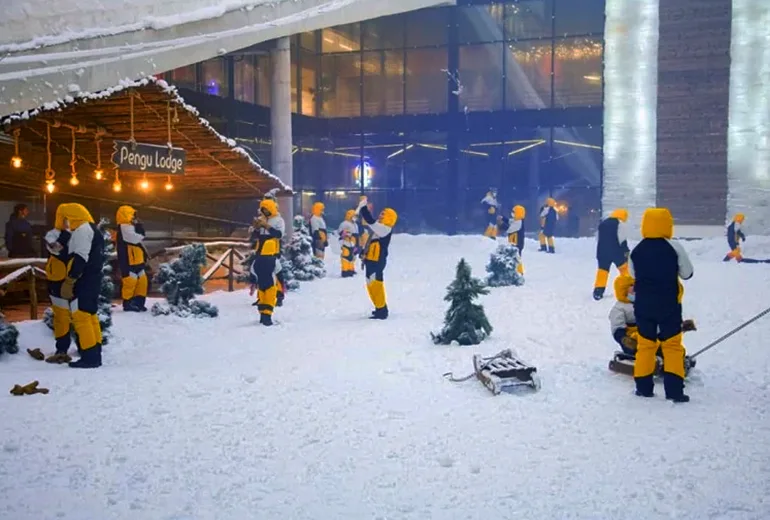 پارک برفی کیش