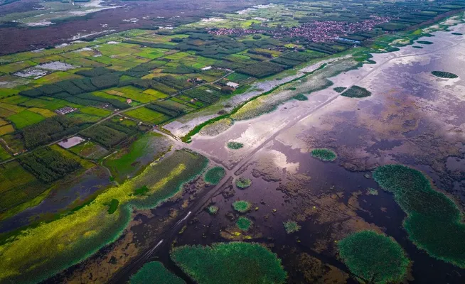 Anzali lagoon