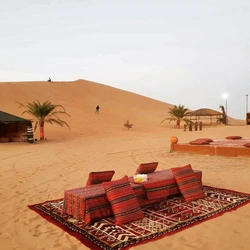 Desert Safari with Luxury Dinner