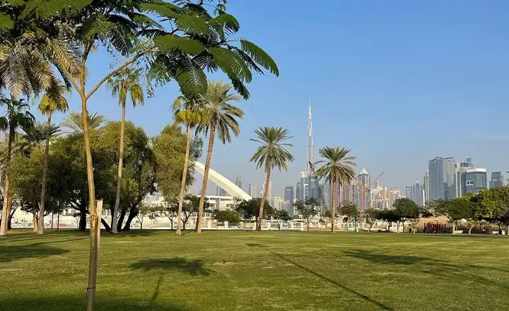 فضای سبز صفا در دبی