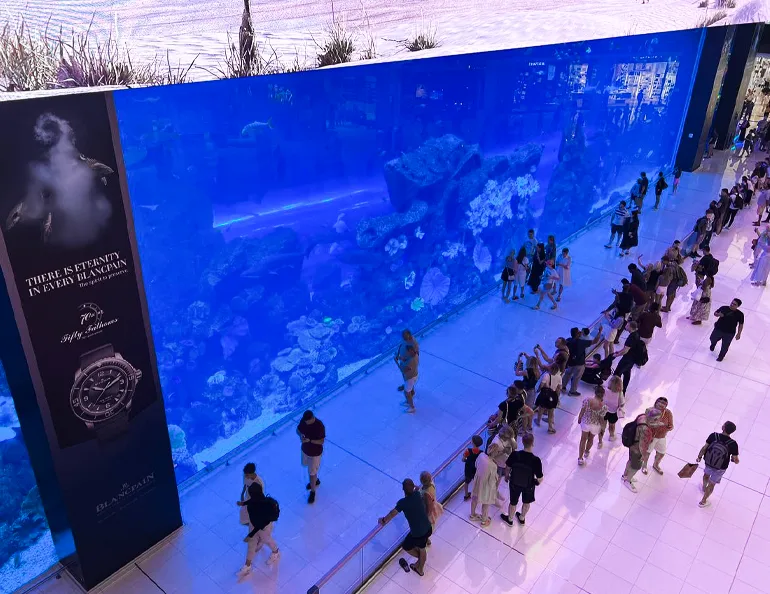 آکواریوم دبی​ از جاهای دیدنی اطراف برج خلیفه دبی