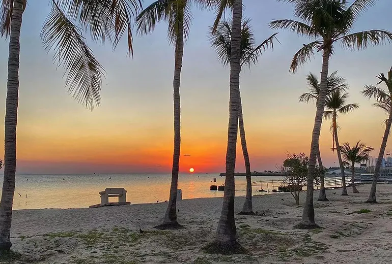 ساحل درختان نارگیل از تفریحات رایگان کیش