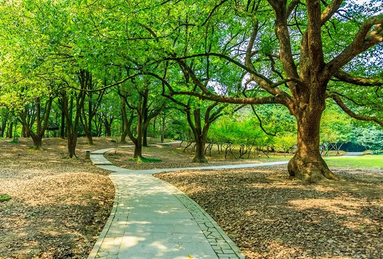 توسکا از پارک های تهران