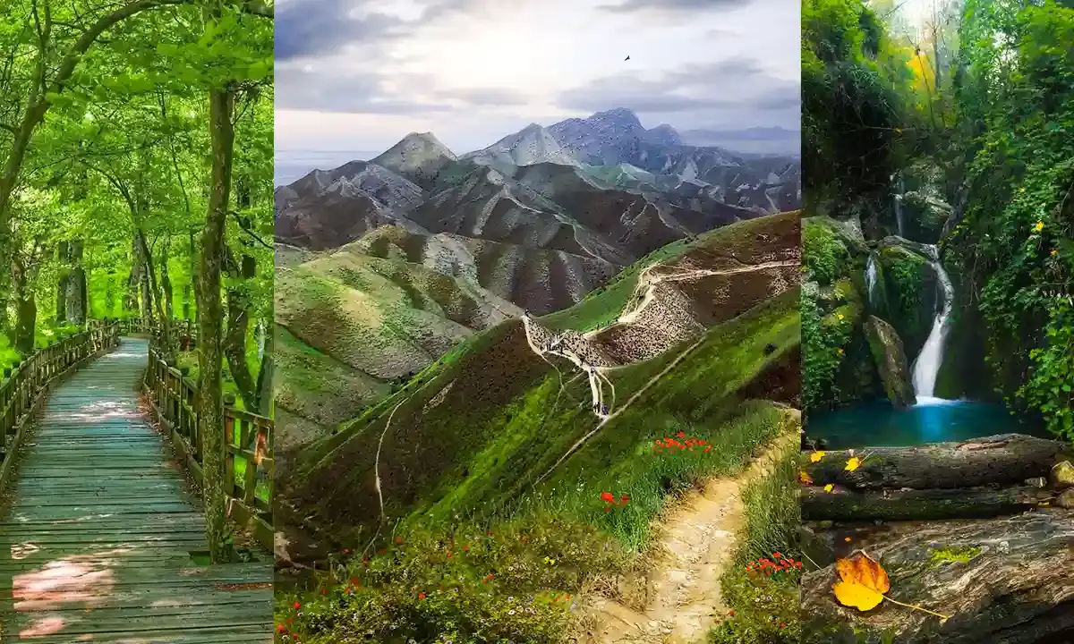 شلوغ ترین ساحل شمال