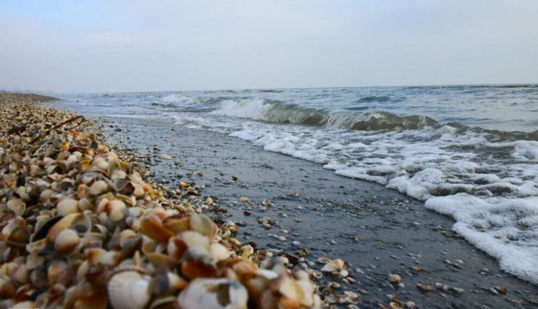 شلوغ ترین ساحل شمال