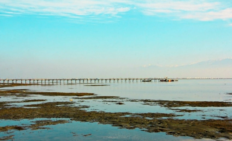 شلوغ ترین ساحل شمال