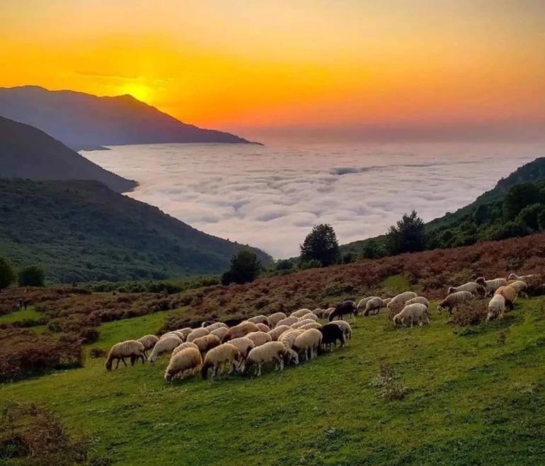 دیلمان از جاهای ناشناخته ایران​