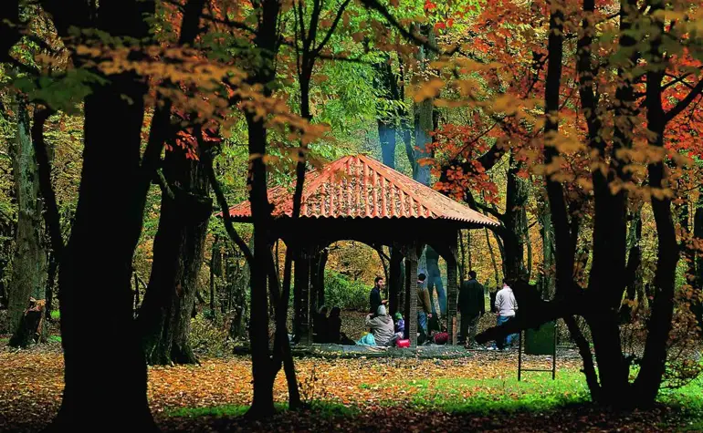 گرگان یکی از بهترین شهرهای شمال ایران
