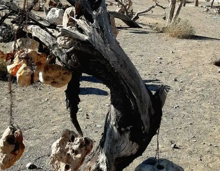 باغ سنگی از عجیب ترین جاهای دیدنی ایران​