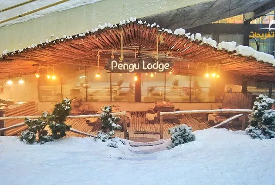 کافه پارک برفی کیش