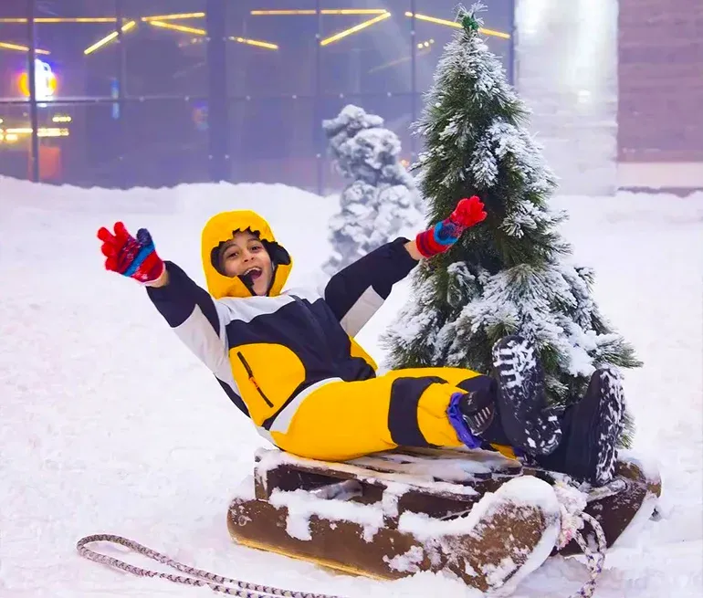 پارک برفی پنگوئن کیش