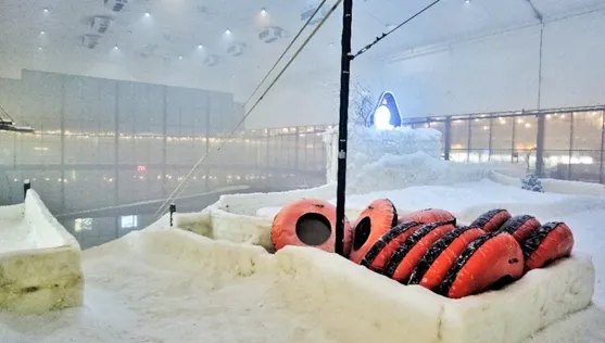 پارک پنگوئن کیش