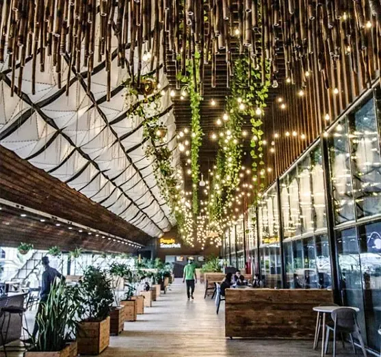 پنگو فود کیش