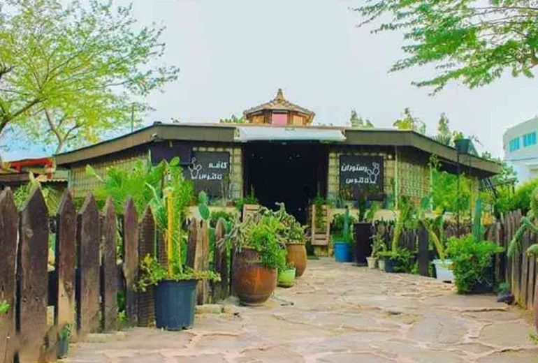 کافه کاکتوس یکی از جاهای لاکچری کیش