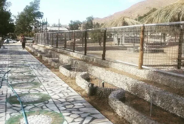 مسیر پیاده‌روی در باغ وحش شیراز با درختان و فضای سبز