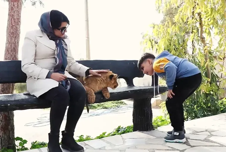 کودکان و خانواده‌ها در حال غذا دادن به حیوانات باغ وحش شیراز