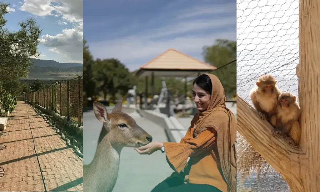 باغ وحش شیراز