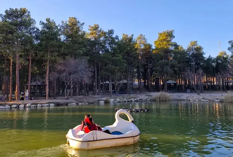 پارک جنگلی انقلاب زرقان از بزرگ‌ترین پارک‌های طبیعی شیراز