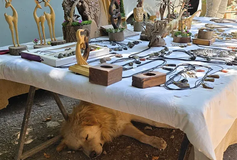 صنایع دستی و محصولات محلی قلات