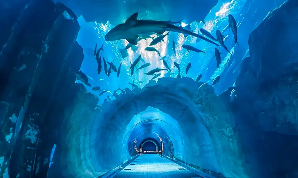 آکواریوم کیش