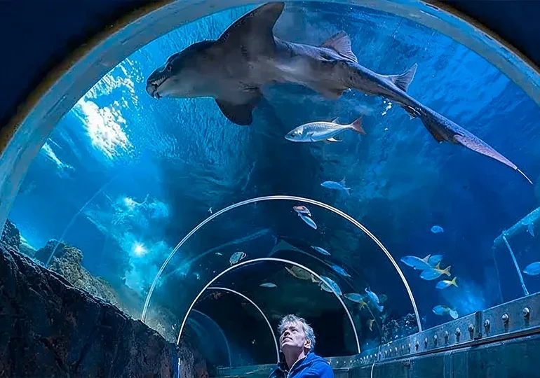 آکواریوم ۵۰ هزار لیتری کیش