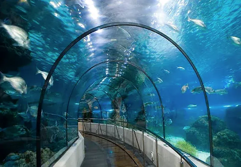 آکواریوم کیش