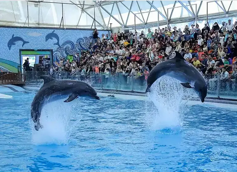 آکواریوم جزیره کیش