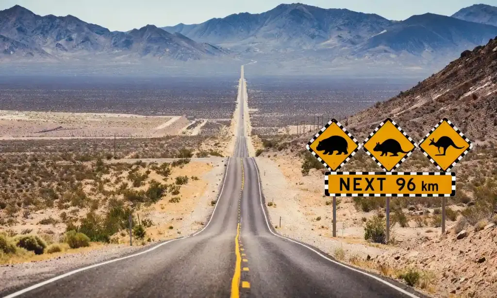 قوانین عجیب رانندگی