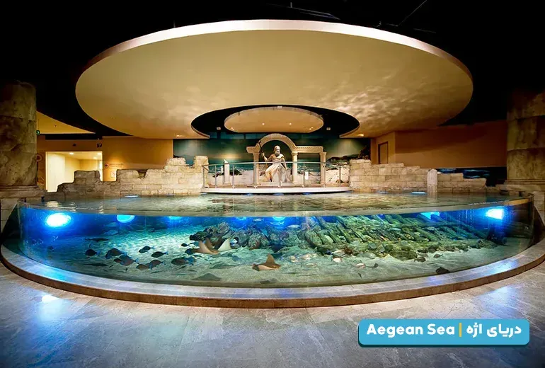دریای اژه از بخش های آکواریوم استانبول