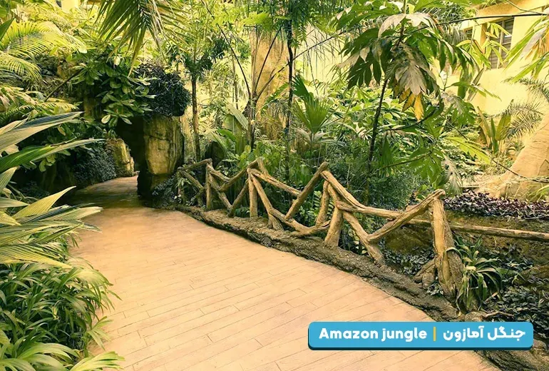 جنگل آمازون از بخش های آکواریوم استانبول