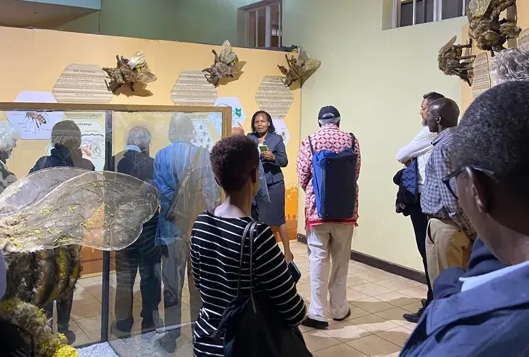 موزه زنبورداری در پولونزکوی استانبول