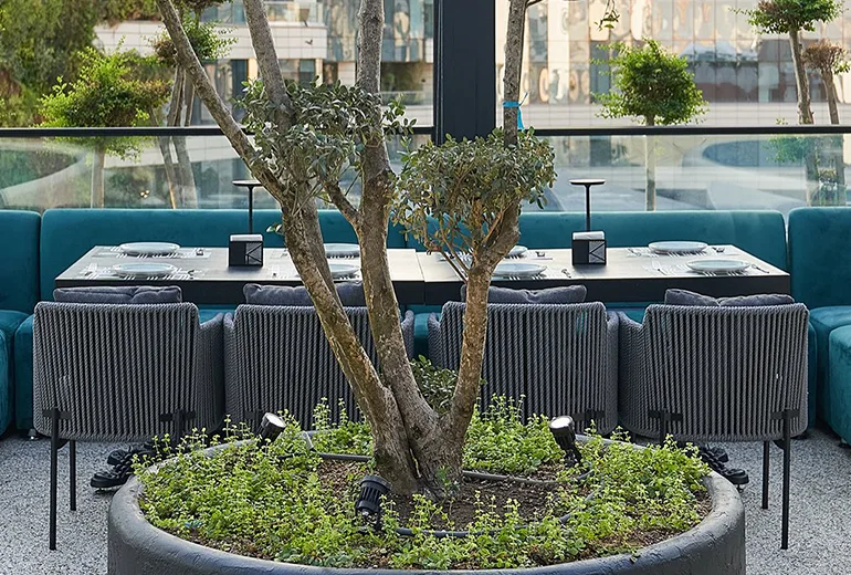 کافه بولرو از کافه های زیبای تهران