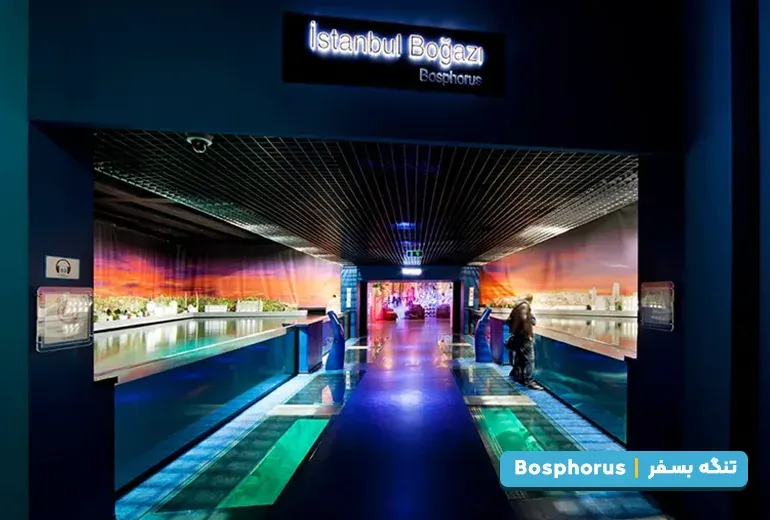 تنگه بسفر از بخش های آکواریوم استانبول
