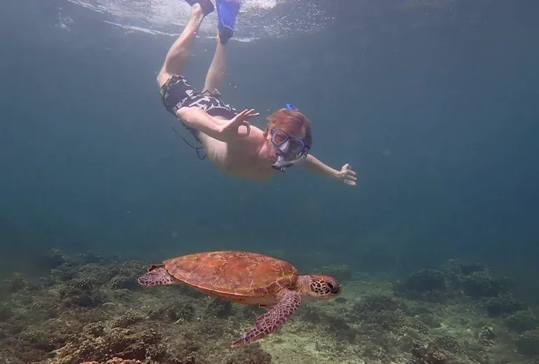 موجودات دریایی در جزایر دیمانیات عمان