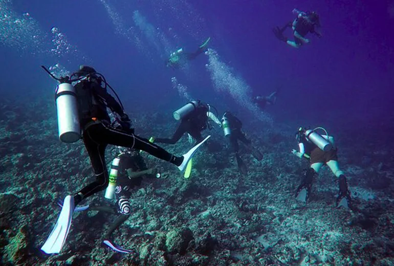 اسنورکلینگ در دیمانیات عمان​