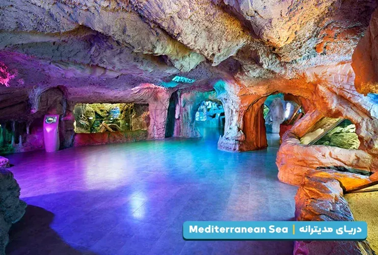 دریای مدیترانه از بخش های آکواریوم استانبول