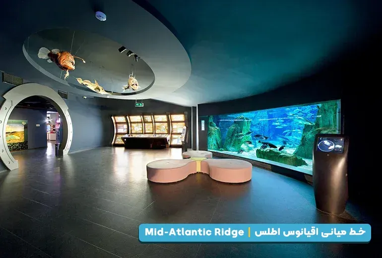خط میانی اقیانوس اطلس از بخش های آکواریوم استانبول
