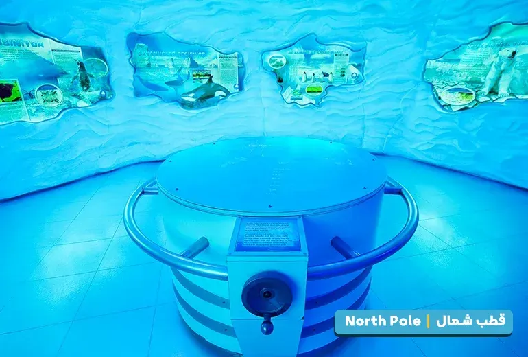 قطب شمال از بخش های آکواریوم استانبول