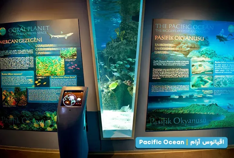 اقیانوس آرام از بخش های آکواریوم استانبول