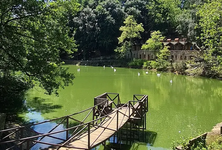 پولونزکوی استانبول ترکیه