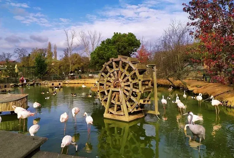 پارک طبیعی پولونزکوی