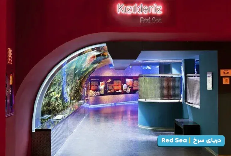 دریای سرخ از بخش های آکواریوم استانبول