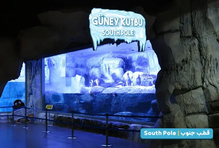 قطب جنوب از بخش های آکواریوم استانبول